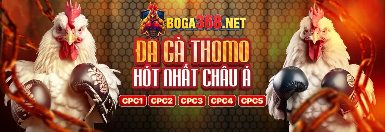 Tin tức bomwin hiện đang mở 2026